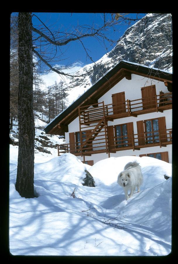 La Trinite Monboso Hotel Gressoney-la-Trinité Exterior foto