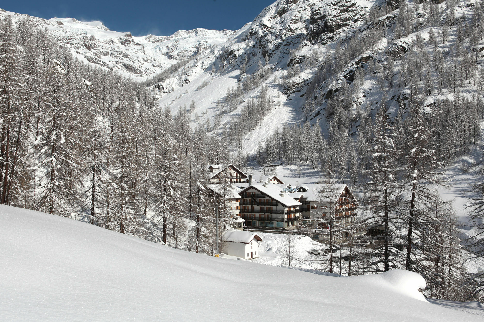 La Trinite Monboso Hotel Gressoney-la-Trinité Exterior foto